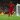 Die führende Statistik der Premier League, die die unterschätzte Natur des Spiels von Liverpool-Star Sadio Mane zeigt