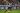 Newcastles Allan Saint-Maximin schlägt nach dem Sieg von Burnley auf kritischen Fan zurück